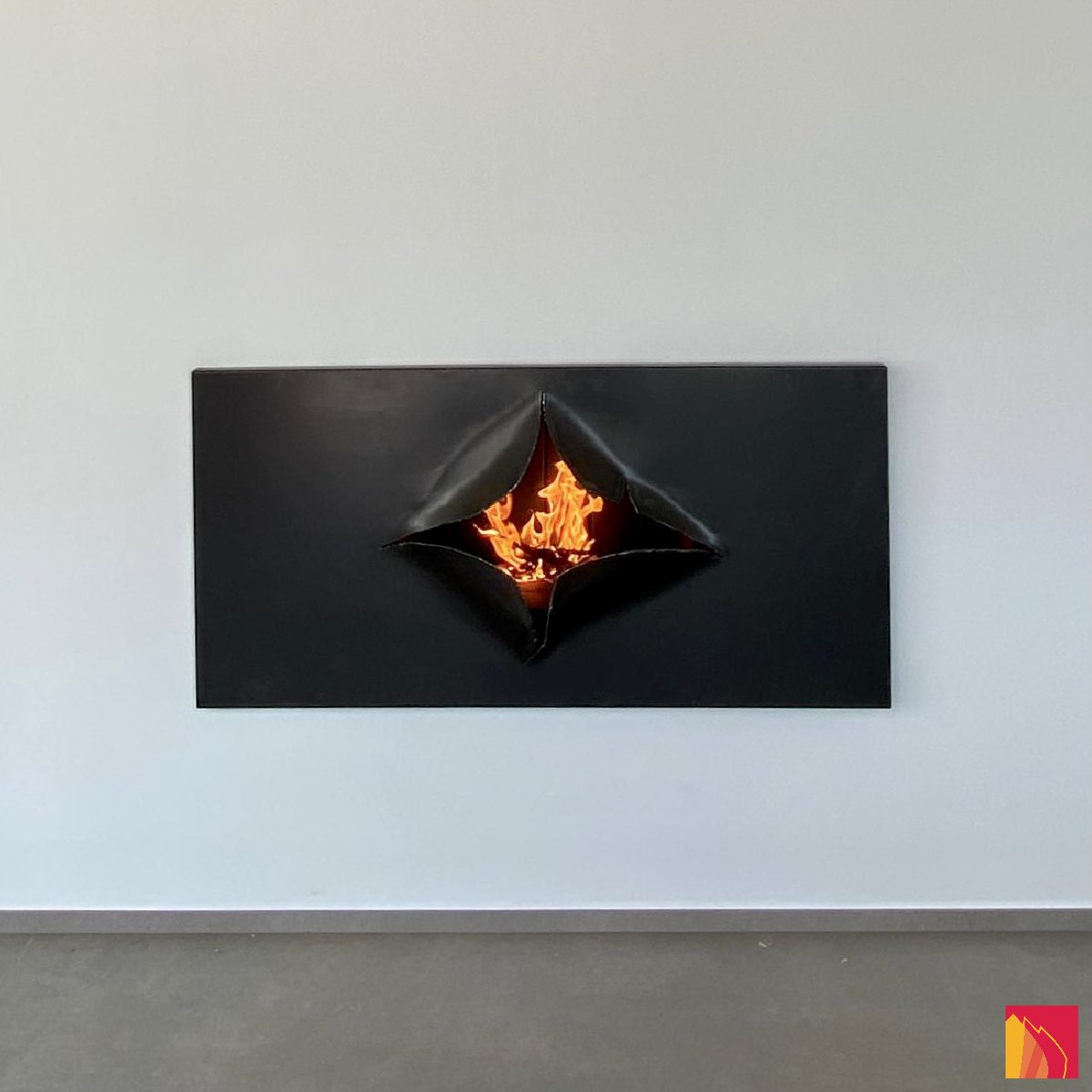 Chimenea de leña Focus Omegafocus - Carron-Lugon